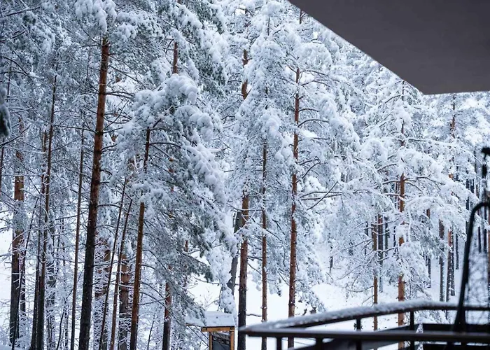 アパート Lux - Balkan Hill 2 ズラティボール